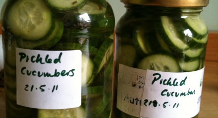 Two jars of freshly pickled cucumbers